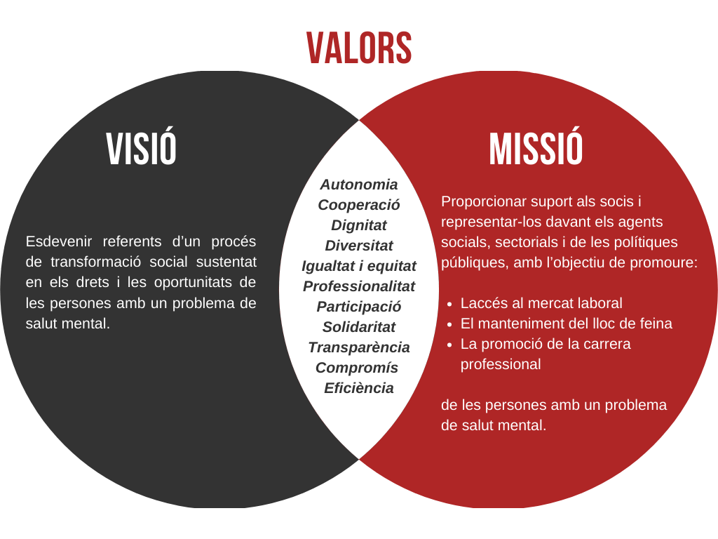 Missió, visió i valors
