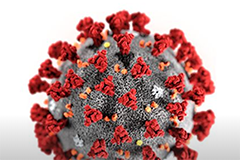 Imatge virus